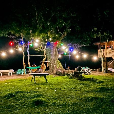مبيت وإفطار مامباجاو Borbon'S Treehouse By The Sea المظهر الخارجي الصورة