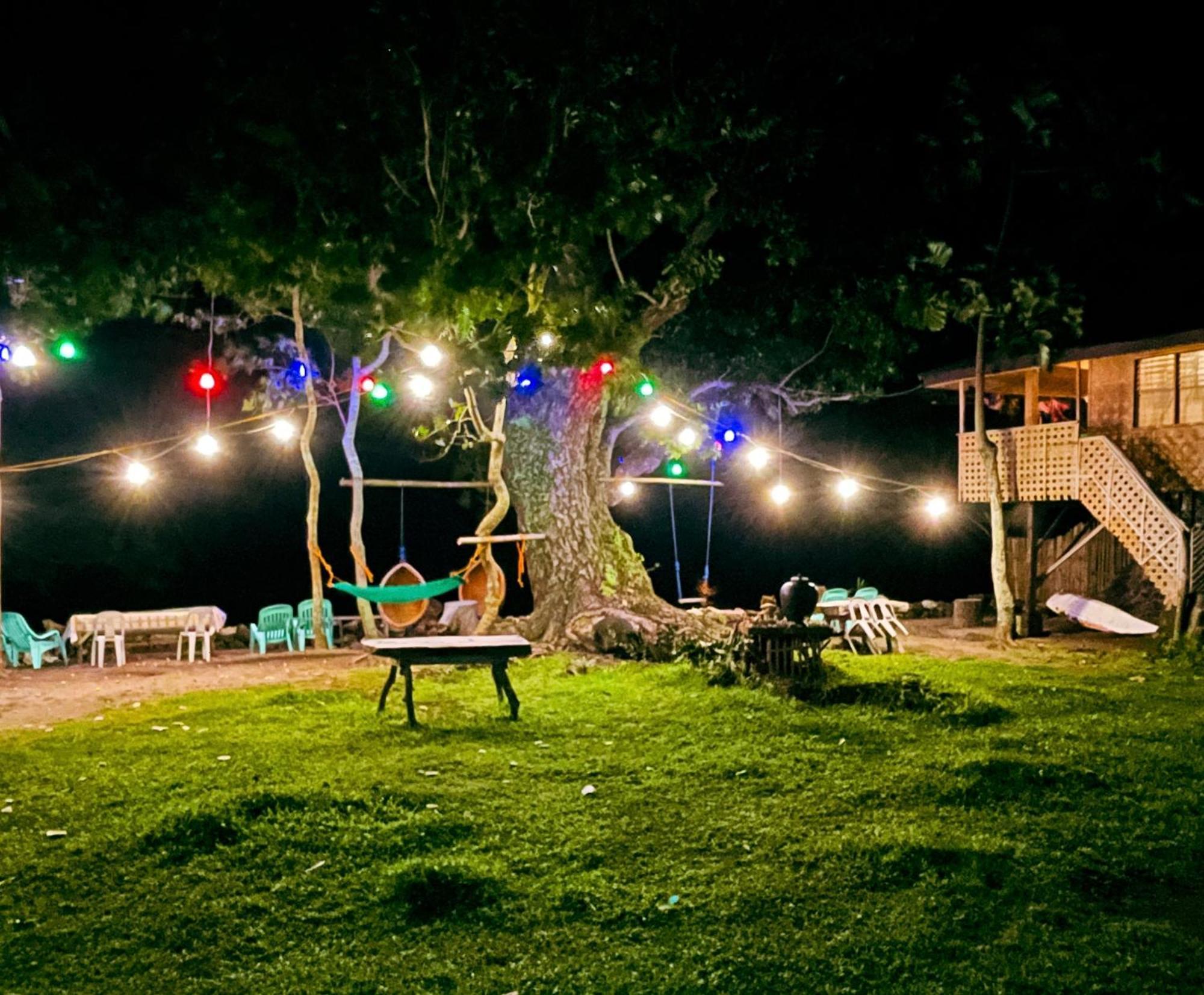 مبيت وإفطار مامباجاو Borbon'S Treehouse By The Sea المظهر الخارجي الصورة